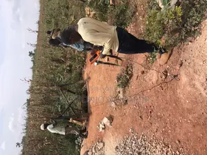Hyrogeological,Geophysical Survey and Project S