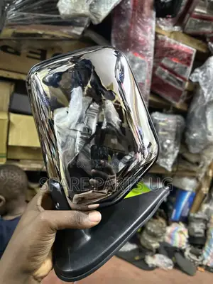 Hilux 166, 1998 - 2004 Side Mirror