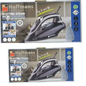 Electric Hoffman's Steam Iron