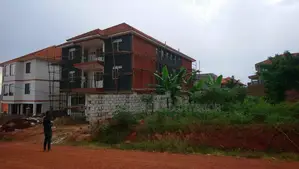 House Painting
