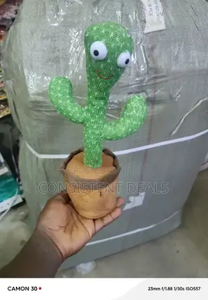 Dancing Cactus Toy