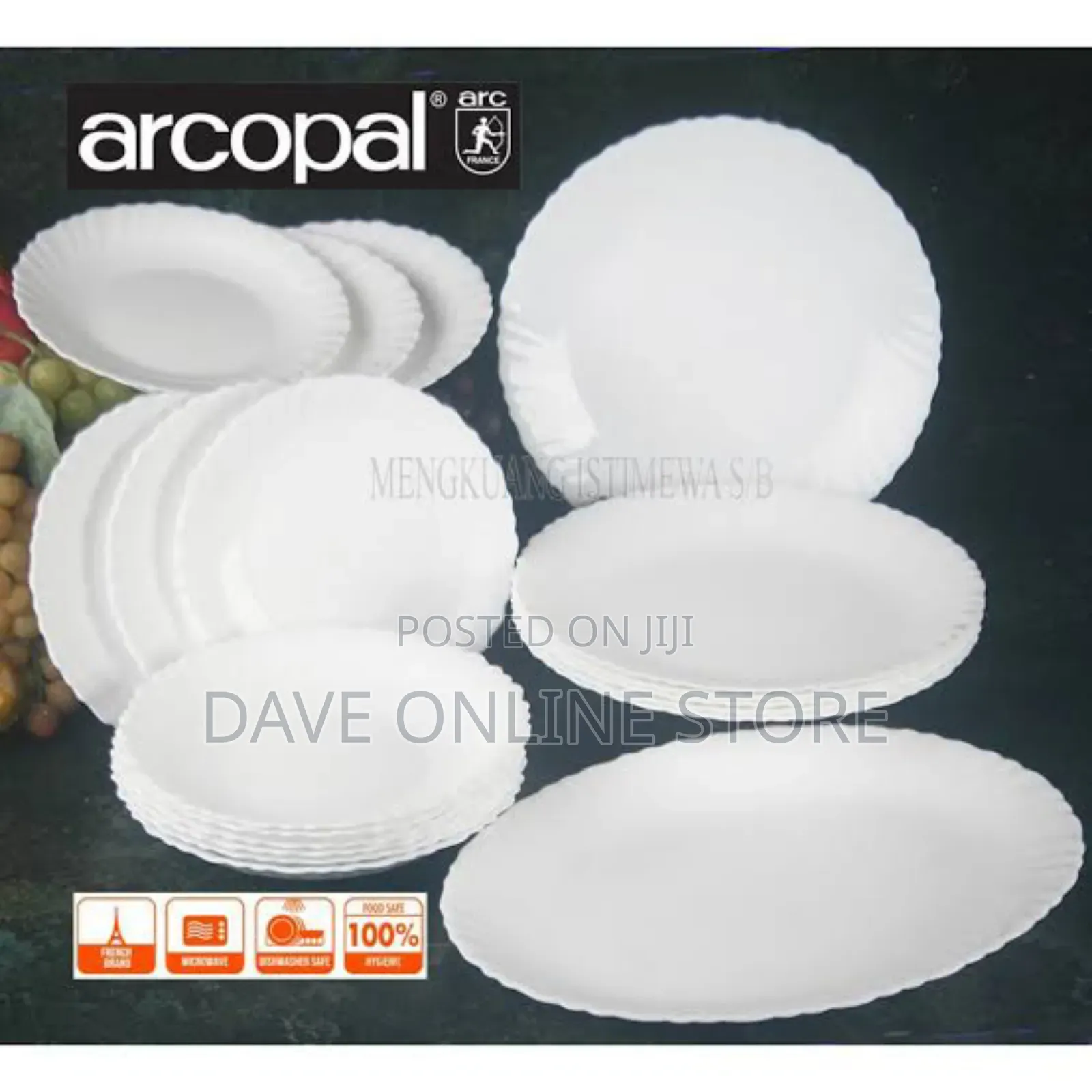 19 Pc Arcopal Feston Dinner Set