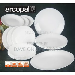 19 Pc Arcopal Feston Dinner Set