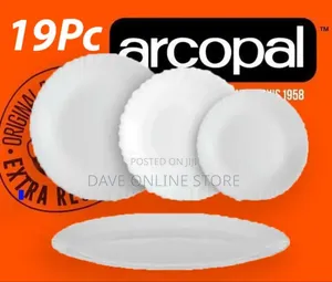 19 Pc Arcopal Feston Dinner Set