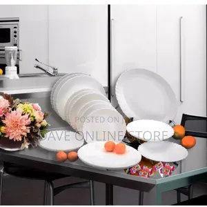 19 Pc Arcopal Feston Dinner Set