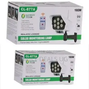 Solar Street Monitor Lamp