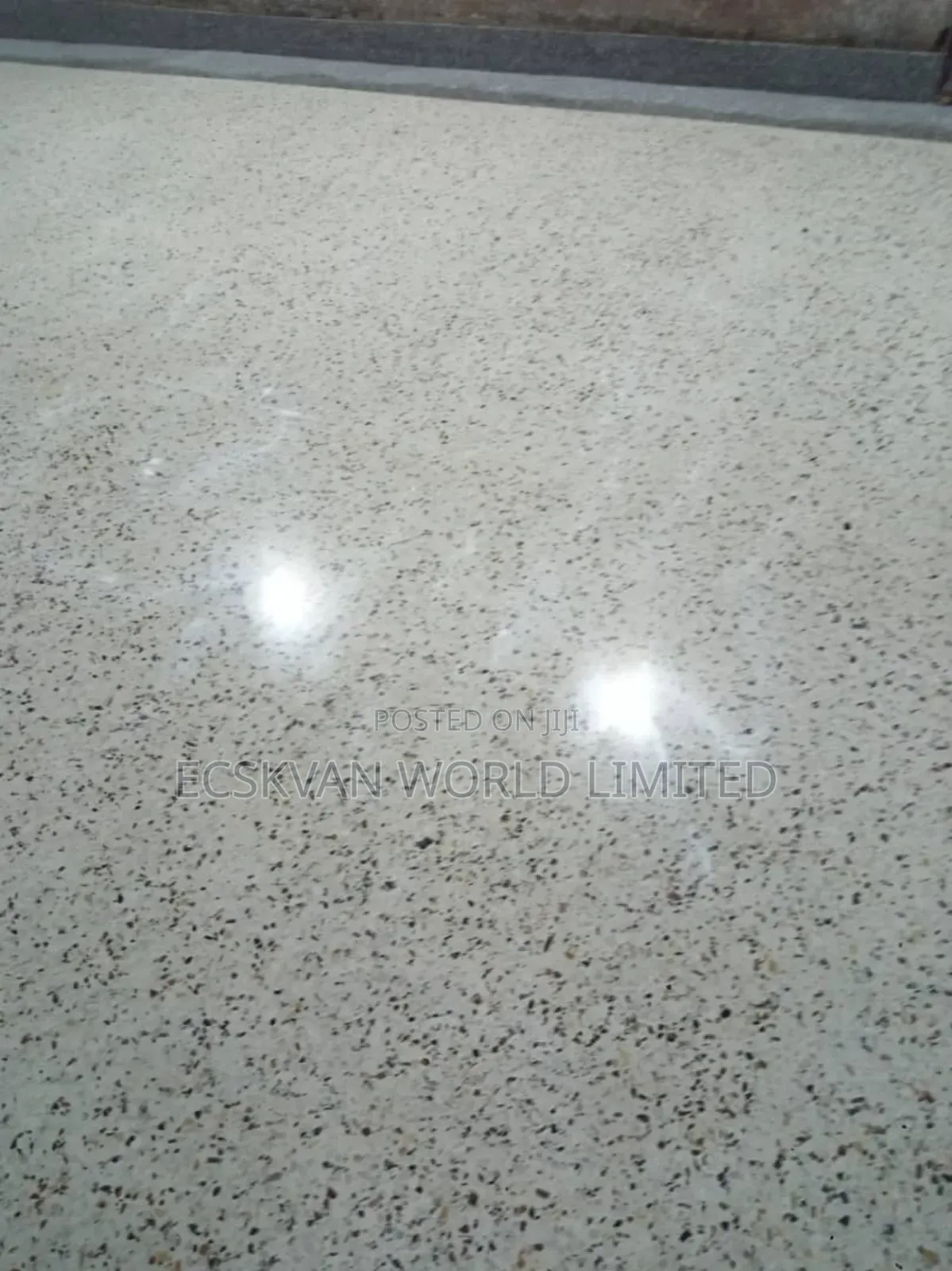 Terrazzo Floor Finishing