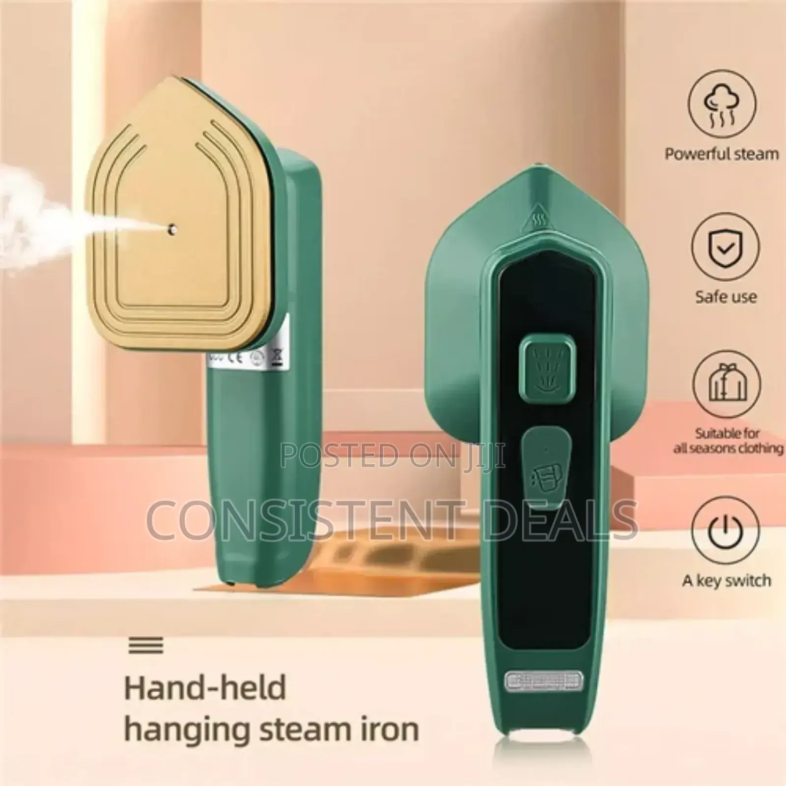 Professional Portable Mini Iron