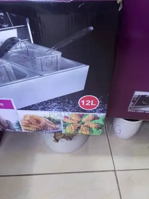 12 L Electric Deep Fryer