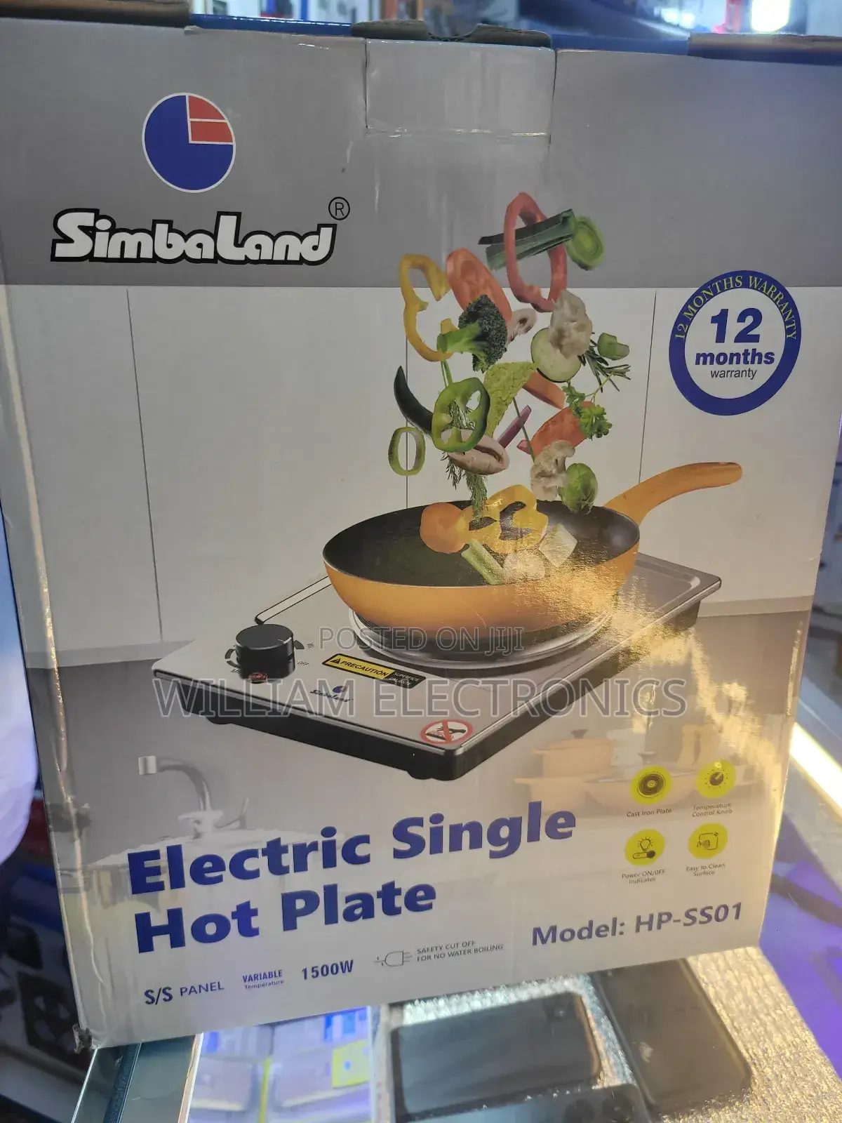 Electric Single Hot Plate With a Cast Iron Plate