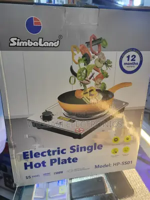 Electric Single Hot Plate With a Cast Iron Plate