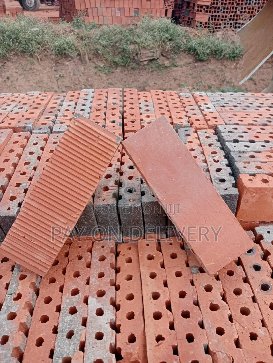 Your Choice (Half Bricks)