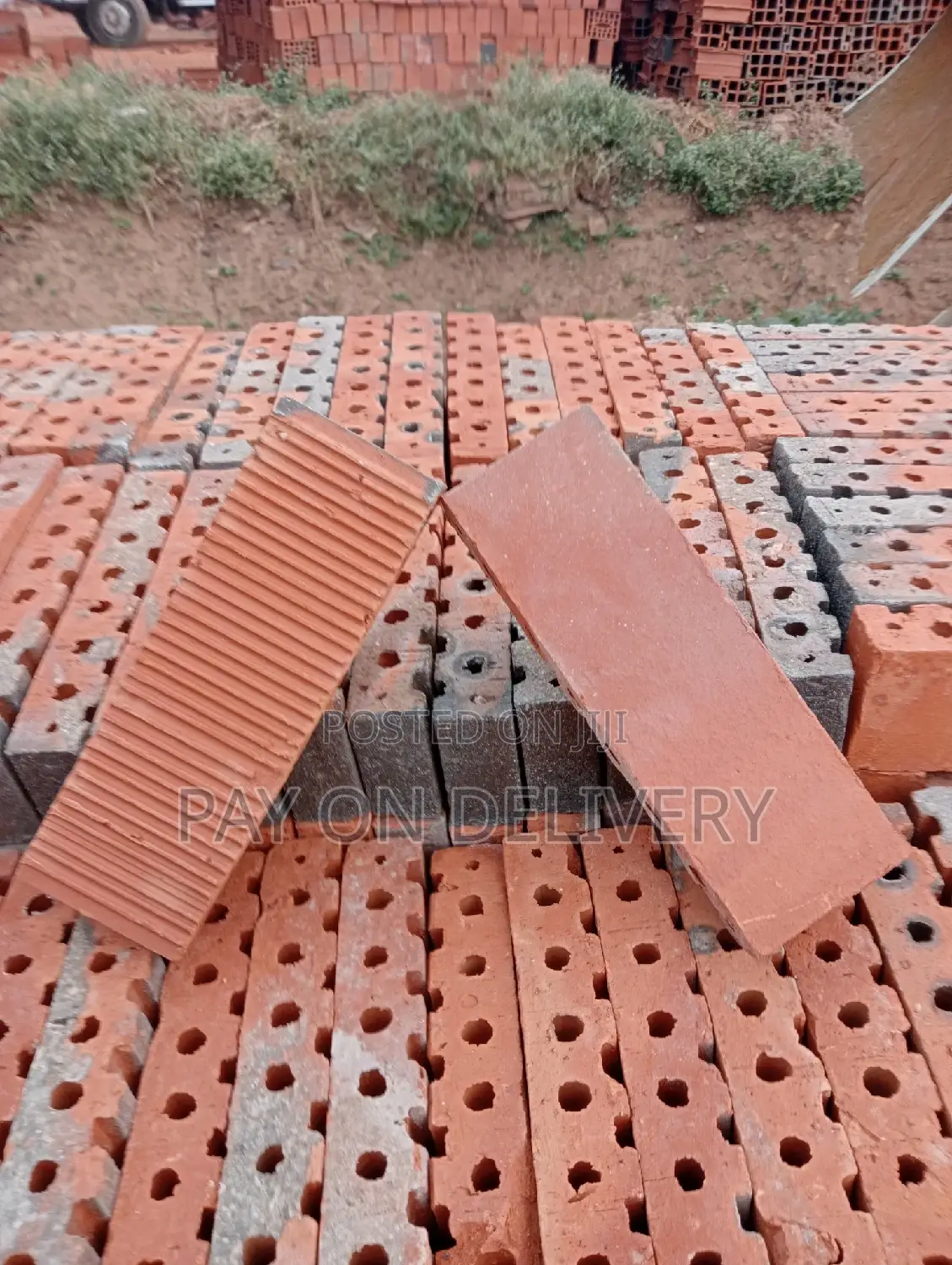 Your Choice (Half Bricks)