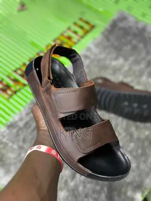 Calmly Nice Ecco Sandals