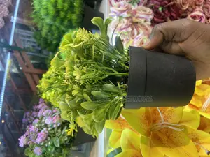 Quality Artificial Plants