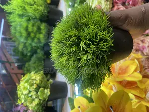 Quality Artificial Plants