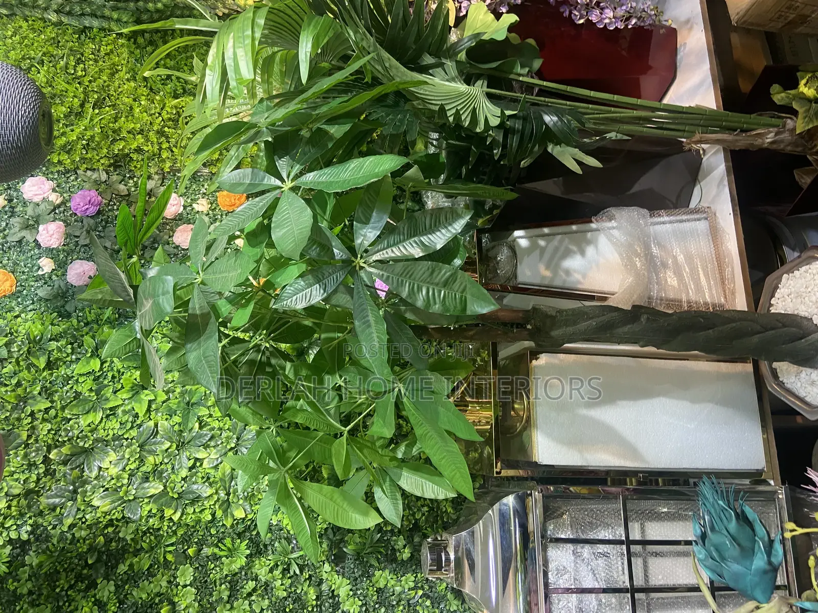 Quality Plants Per Each
