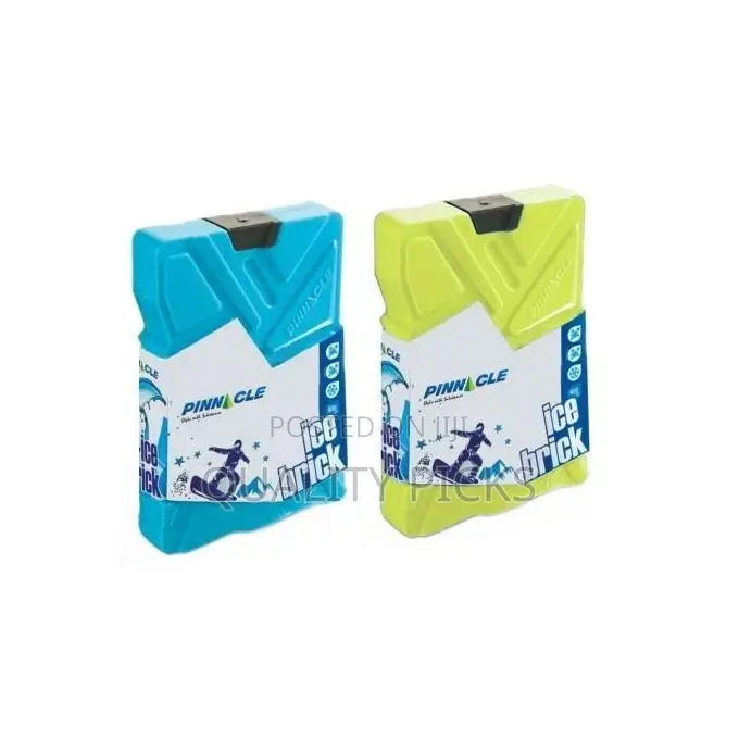 Pinnacle 2 Pack Cooler Ice Packs Brick Freezer Block 600 Ml