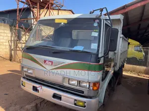 Hino With Big Tray