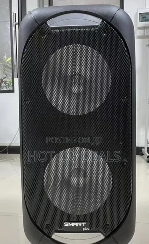 12 Inch Dual Rechargeable Amplified Speaker With 2 Microphone