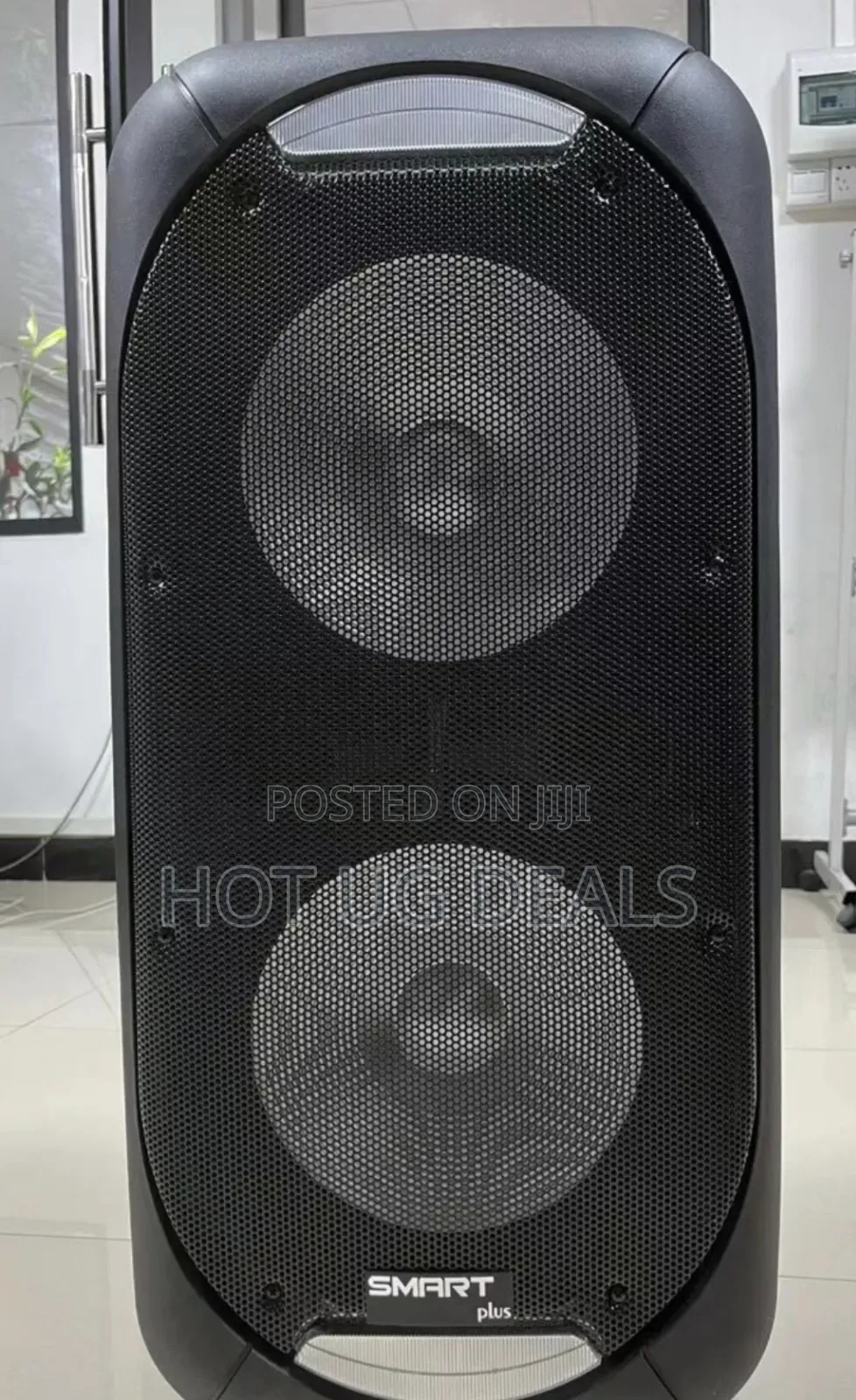 12 Inch Dual Rechargeable Amplified Speaker With 2 Microphone