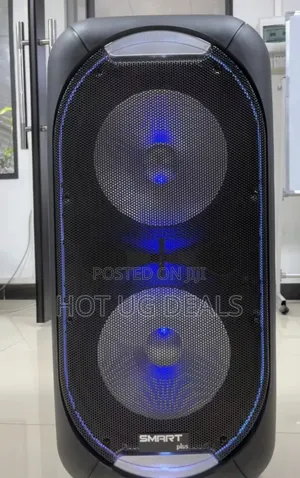 12 Inch Dual Rechargeable Amplified Speaker With 2 Microphone