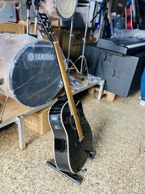 Amplified Acoustic Guitar