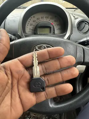Passo or Passo Sette Key Lost or Add Key