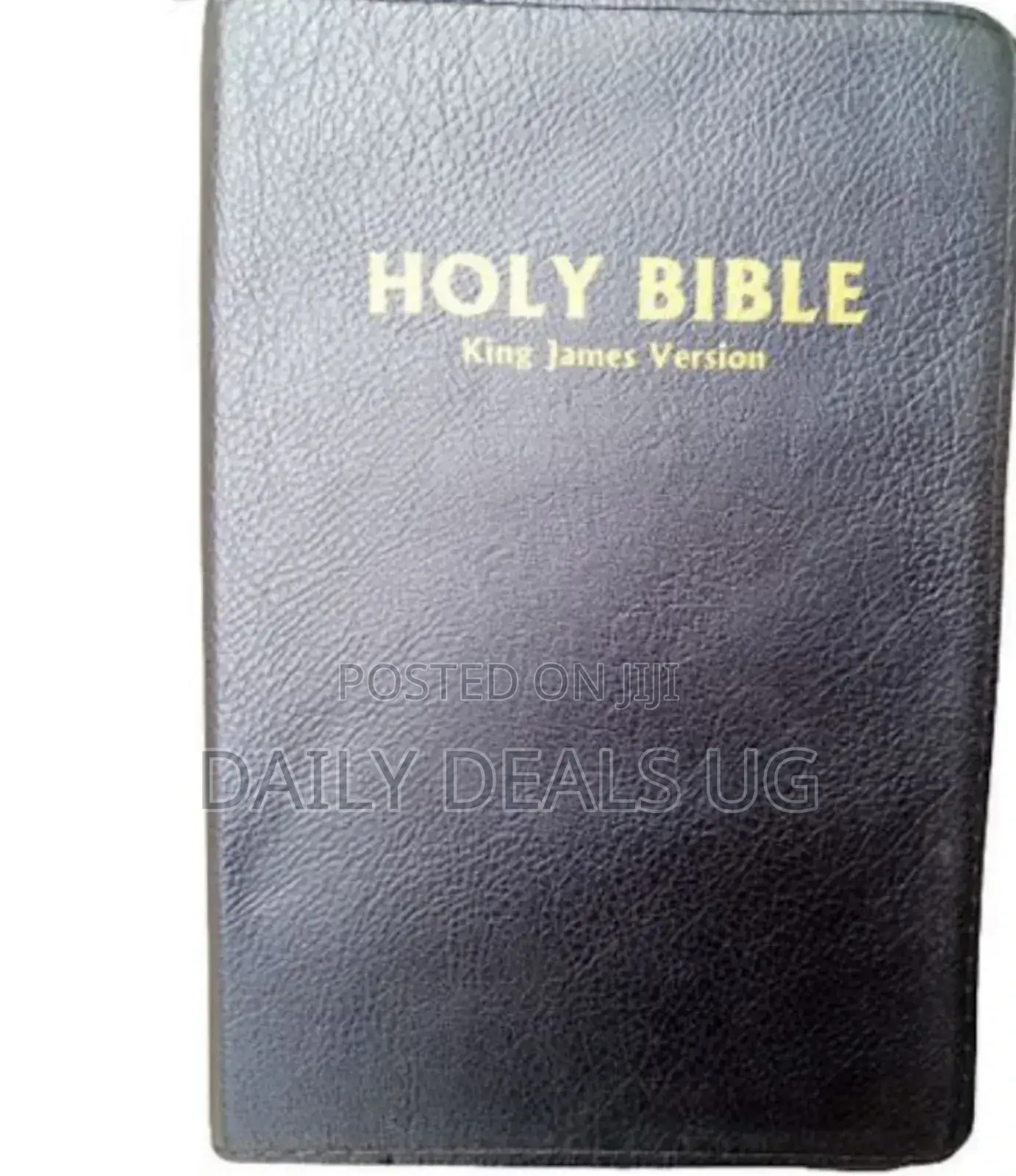 Black Holy Bible