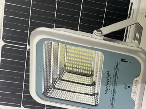 100w Solar Flood Light