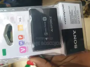 SONY Np-Fv 1oo