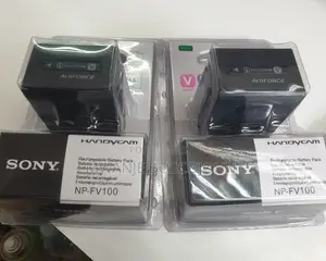 SONY Np-Fv 1oo