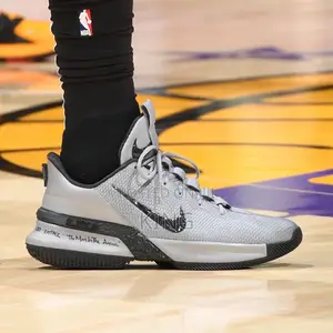 Lebron Ambassador Gray Black Factual Shoes