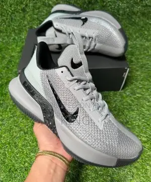 Lebron Ambassador Gray Black Legit Sneakers