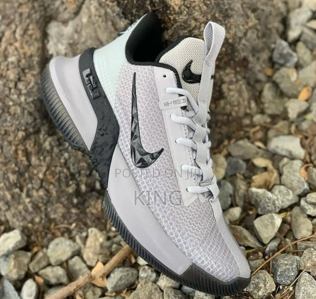 Lebron Ambassador Gray Black Valid Shoes