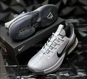 Lebron Ambassador Gray Black Actual Shoes