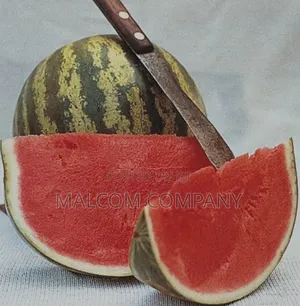 Crimson Sweet Watermelon Seeds 1kg.
