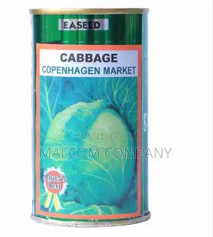 Cabbage Seed Copenhagen Market. Yields Per Acre 16t- 32T.