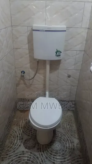 Plumbing Works