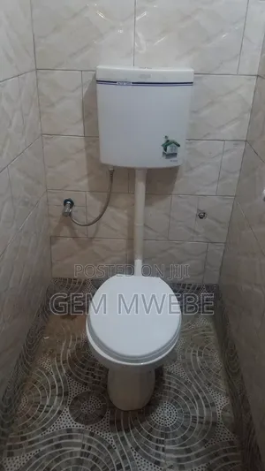 Plumbing Works