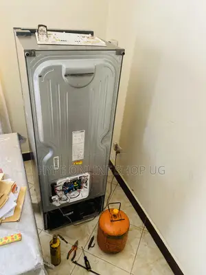 Lg Linear Fridge Repair Service Technician