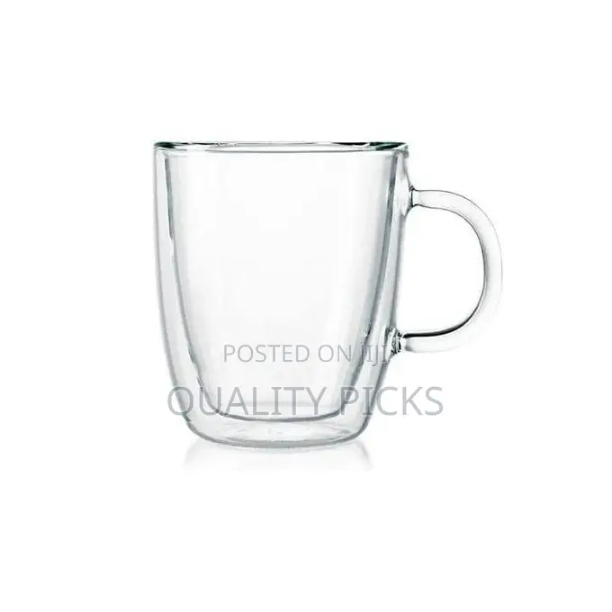 6 Piece Double Wall Glass Coffee Mugs Set With Handle
