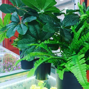 Artificial Plants