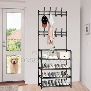 Metallic Hat and Shoe Rack