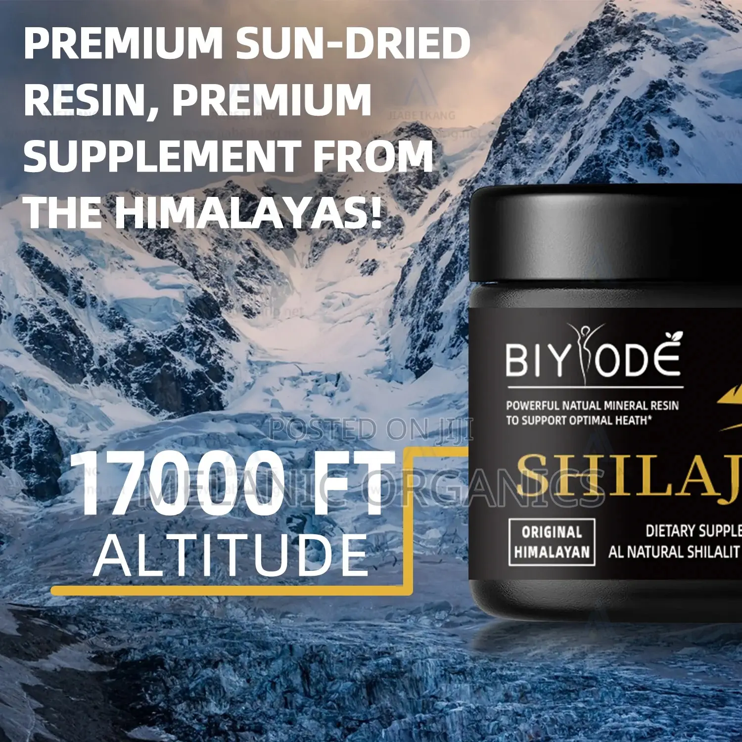 Biyode Shilajt