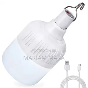 Dp Usb Rechargeable Bulb 40W