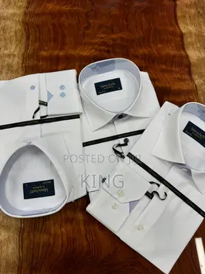 Gifted Plain White Shirts
