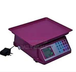 Computer Scale