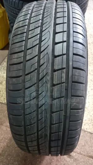 225/55r19 Athena