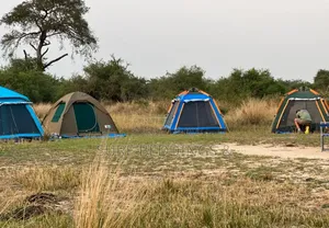 Automatic Camping Tents